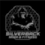 Silverback MMA and Fitness academy logo