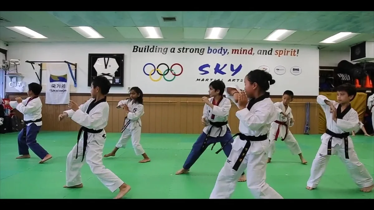 Sky Martial Arts - Dublin CA facility image