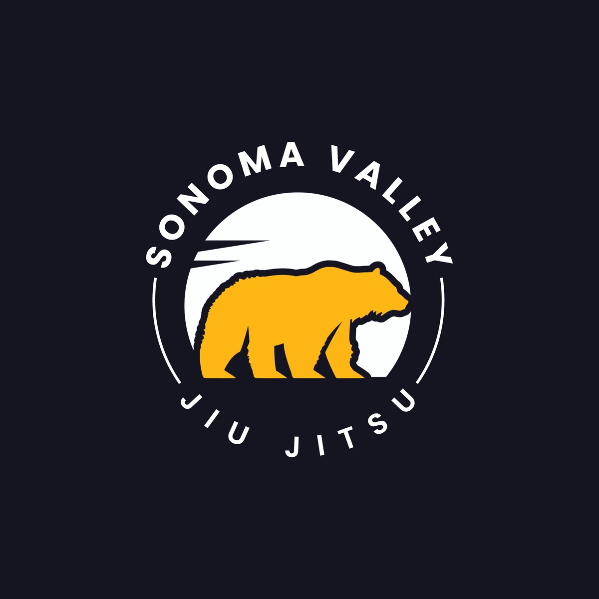 Sonoma Valley Jiu Jitsu academy photo