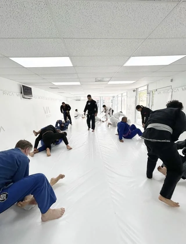 South Bays premiere Jiu Jitsu Training academy photo