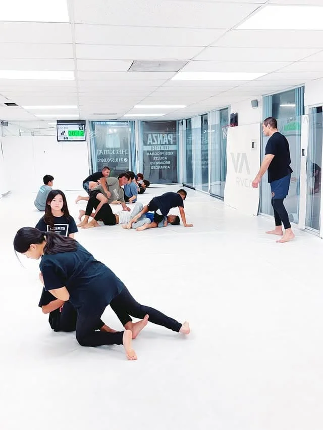 South Bays premiere Jiu Jitsu Training academy photo