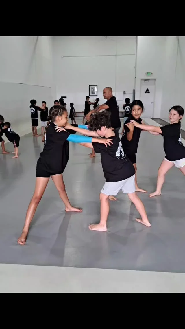 South Shore Jiu Jitsu & Mixed Martial Arts academy photo