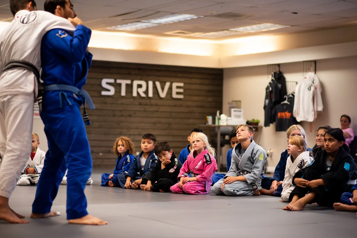 STRIVE JIU-JITSU ACADEMY (IBJJFF) academy photo