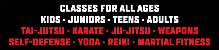 Studio City Martial Arts academy photo