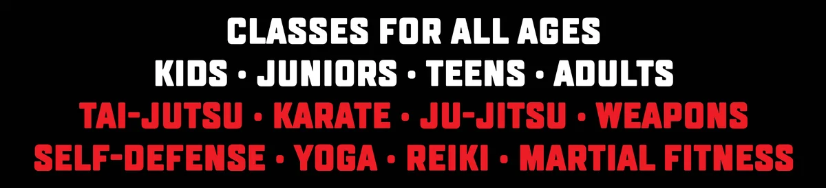 Studio City Martial Arts academy photo