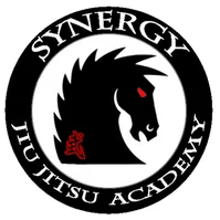 Synergy Jiu Jitsu Academy - Rocklin CA visual