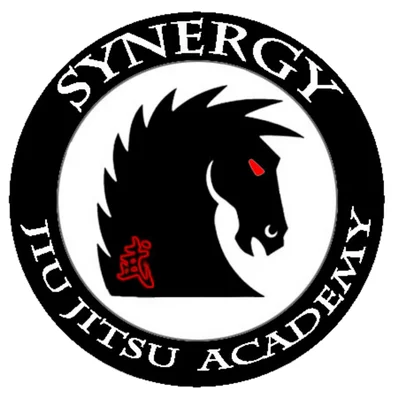Synergy Jiu Jitsu Academy - Rocklin CA academy photo