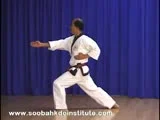 Tang Soo Do Karate Institute facility image