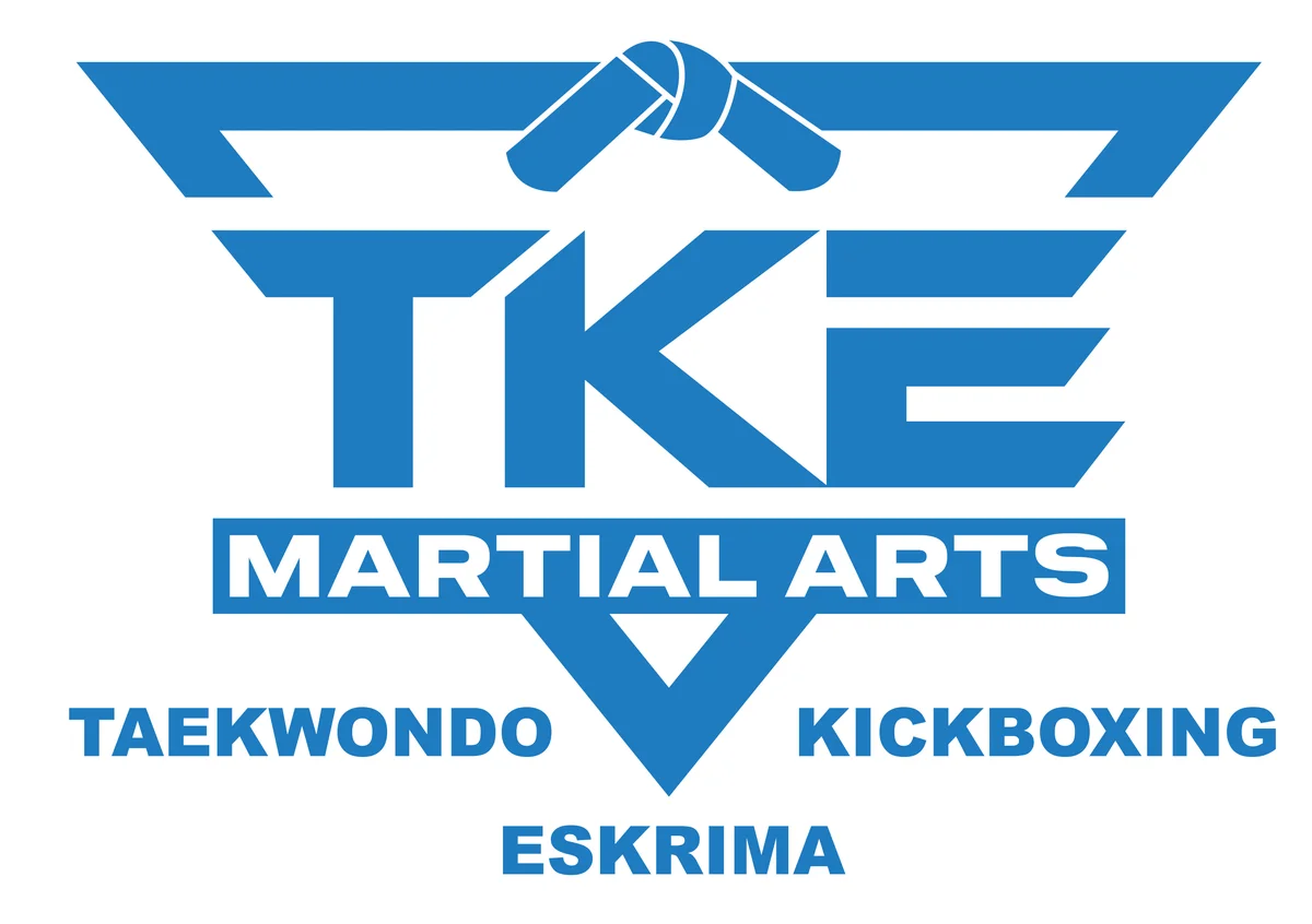 Team Martial Arts academy logo