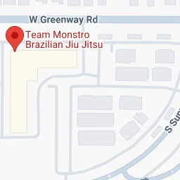 Team Monstro BJJ Academy academy logo