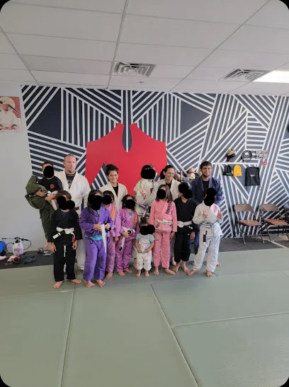 Team Monstro BJJ Academy academy photo