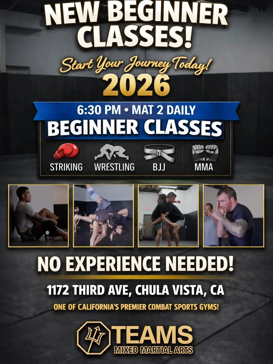 TEAMS MMA academy logo