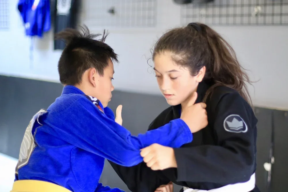 Teixeira/Garcia Brazilian Jiu-Jitsu Training Academy academy photo