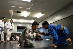 Teixeira/Garcia Brazilian Jiu-Jitsu Training Academy academy photo