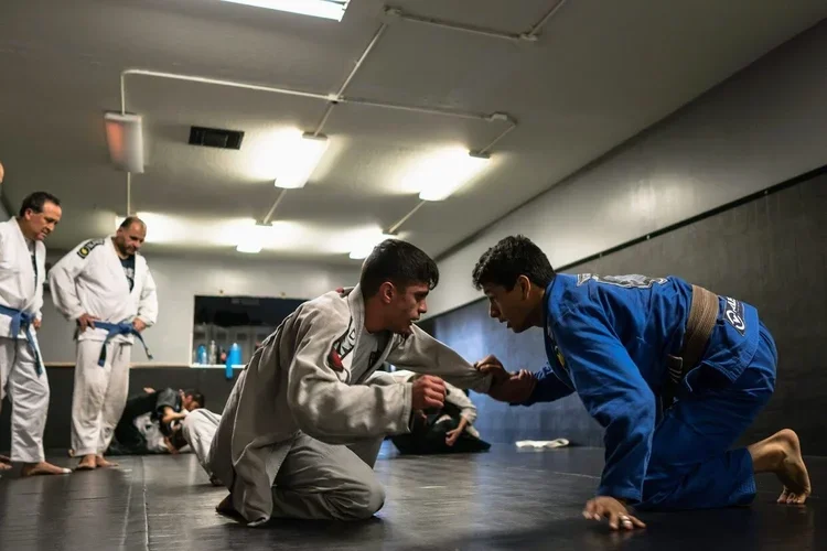 Teixeira/Garcia Brazilian Jiu-Jitsu Training Academy academy photo