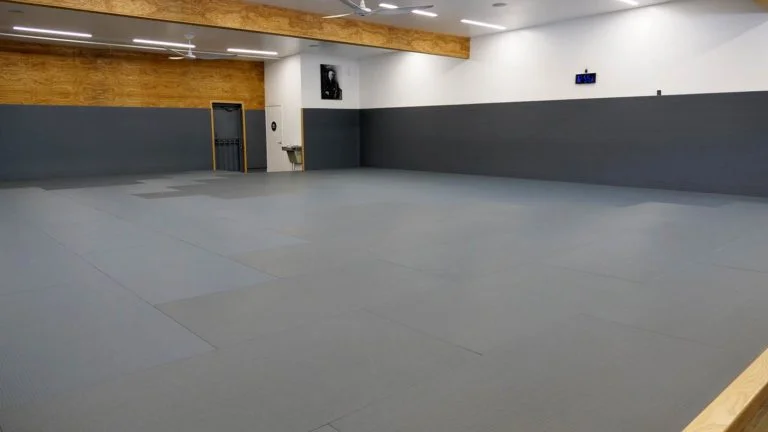 The Arena - The Grappling Gym facility image