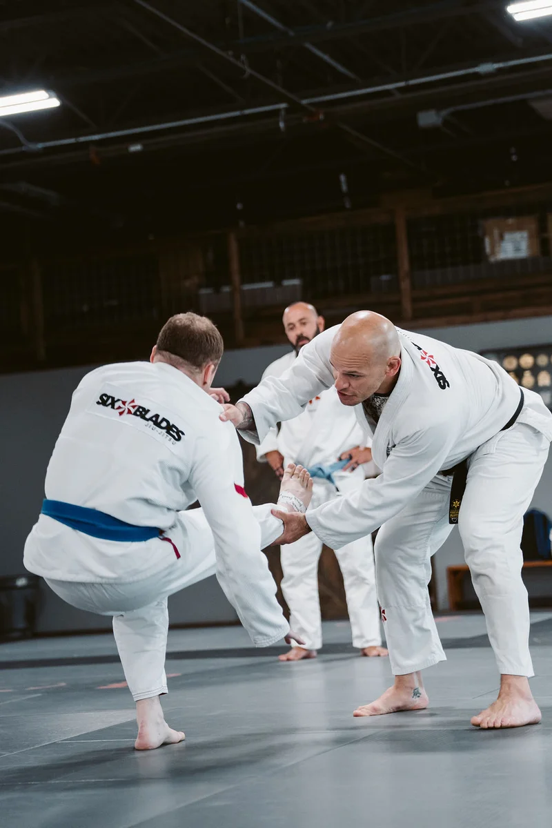 The Flow Institute: Six Blades Jiu-Jitsu academy logo
