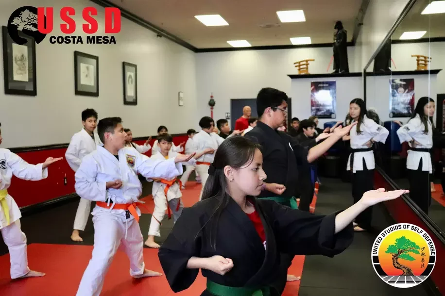 The Great Savings Event (Groupon Page for Martial Arts Gyms in Aliso Viejo, CA) academy photo