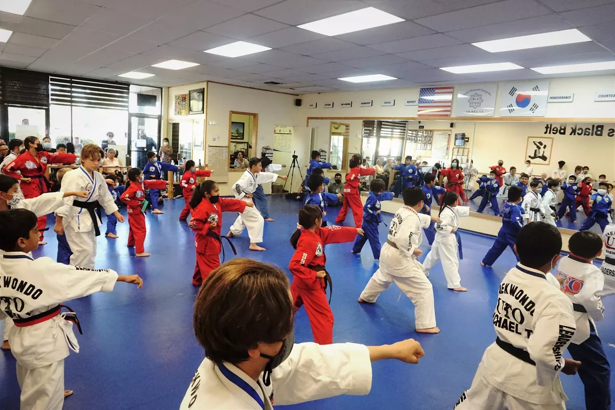 The Great Savings Event (Groupon Page for Martial Arts Gyms in Aliso Viejo, CA) academy photo