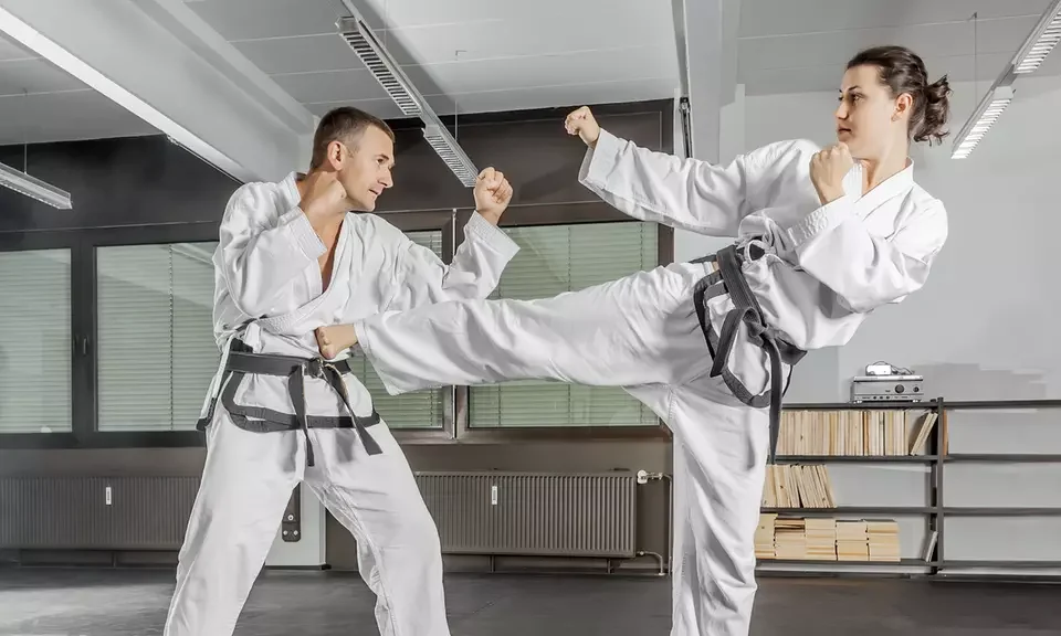 The Great Savings Event (Groupon Page for Martial Arts Gyms in Aliso Viejo, CA) academy photo