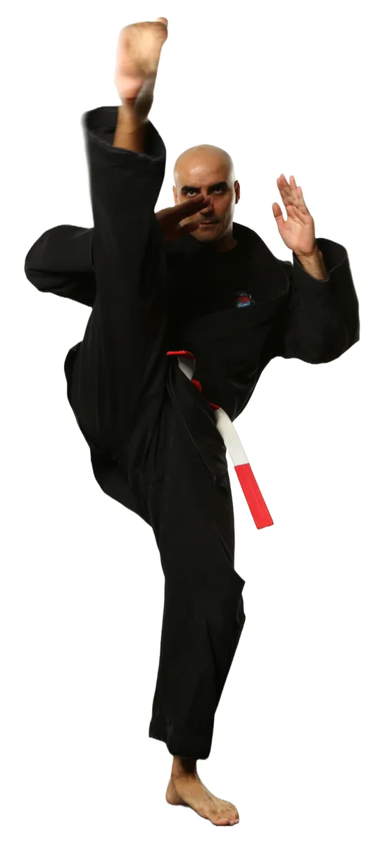 THE ISRAELI MARTIAL ARTS ACADEMY academy photo