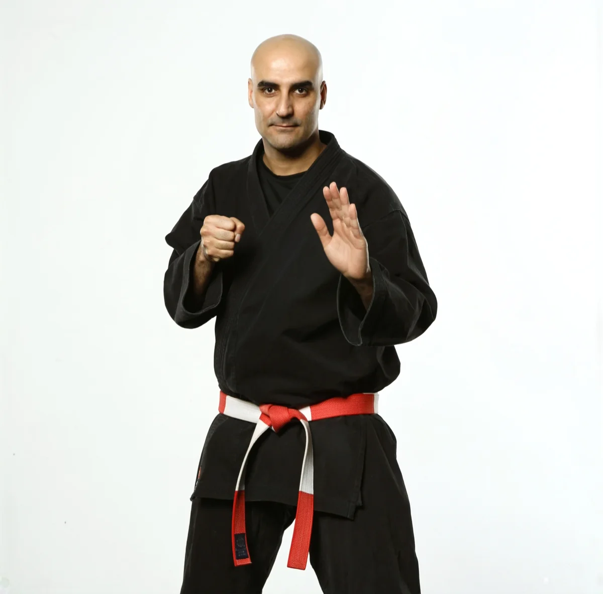 THE ISRAELI MARTIAL ARTS ACADEMY academy photo