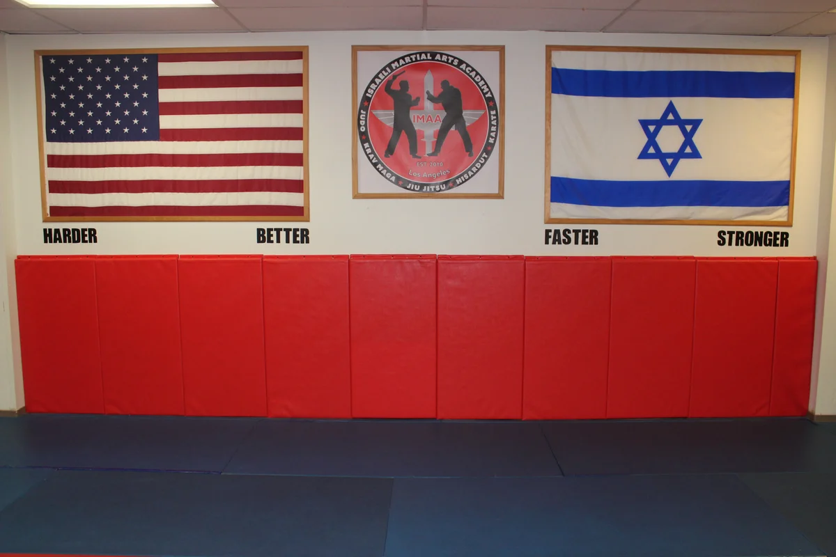 THE ISRAELI MARTIAL ARTS ACADEMY academy photo