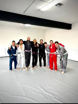 The Jiu Jitsu Training Institute academy photo