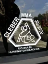 The Jiu Jitsu Training Institute academy photo