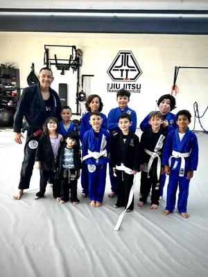 The Jiu Jitsu Training Institute academy photo