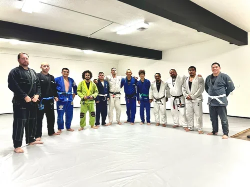 The Jiu Jitsu Training Institute academy photo