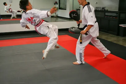 TNT Martial Arts & Fitness academy photo