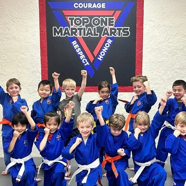 Top One Martial Arts visual