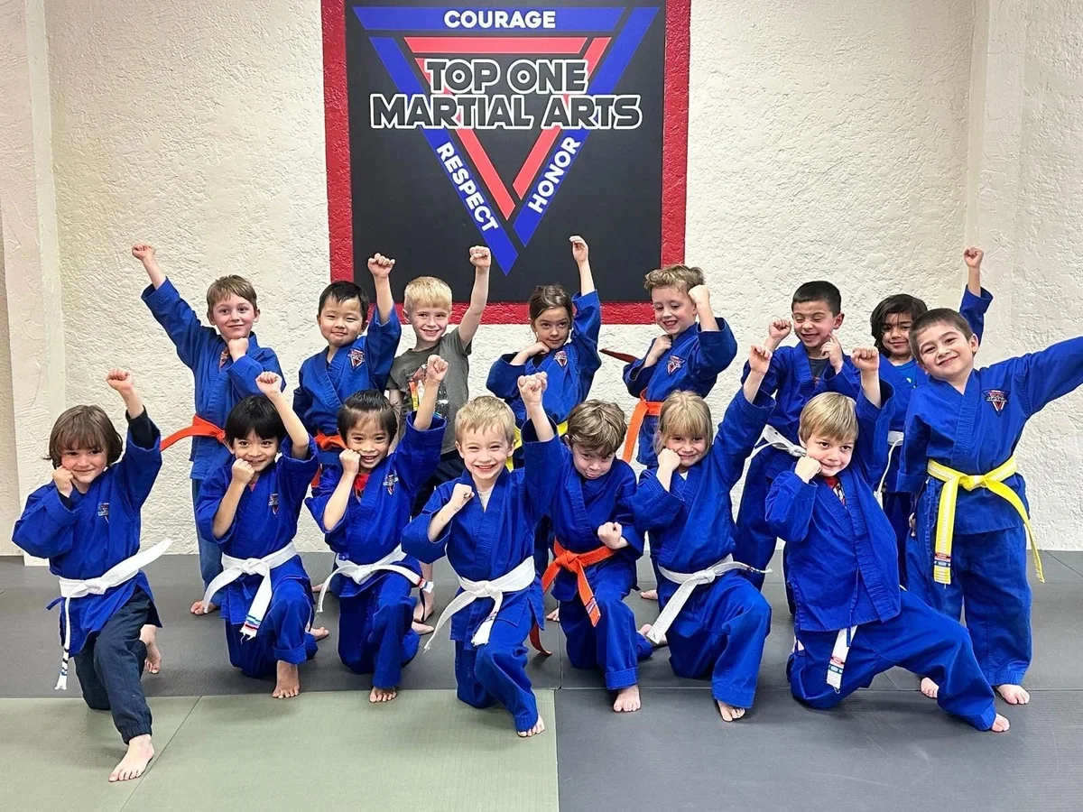 Top One Martial Arts academy photo