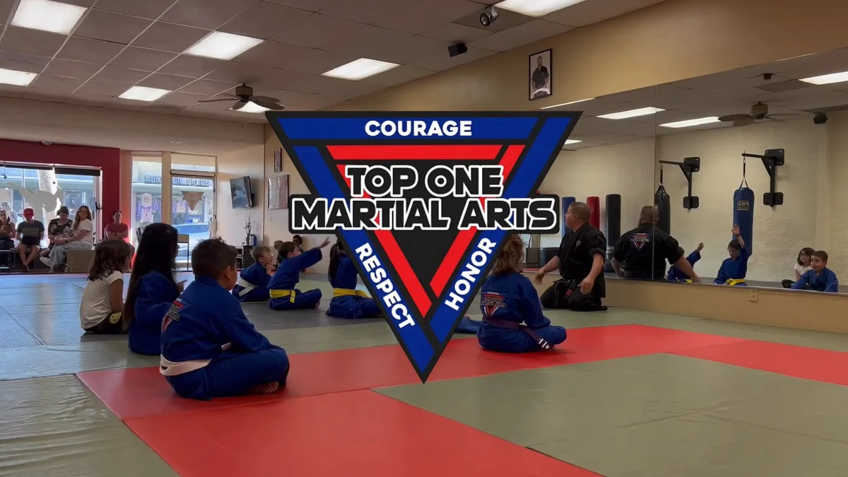 Top One Martial Arts academy photo