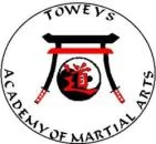 Towey's Academy of Martial Arts academy logo