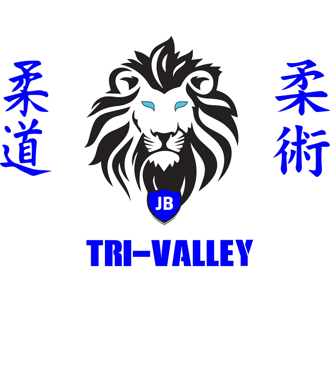 Tri-Valley Judo & Jiu-Jitsu academy photo