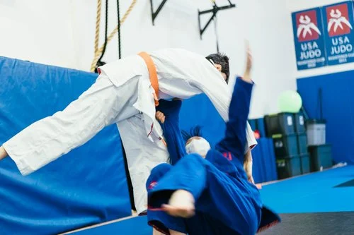 Tri-Valley Judo & Jiu-Jitsu academy photo
