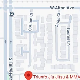 Triunfo Jiu-Jitsu & MMA academy photo