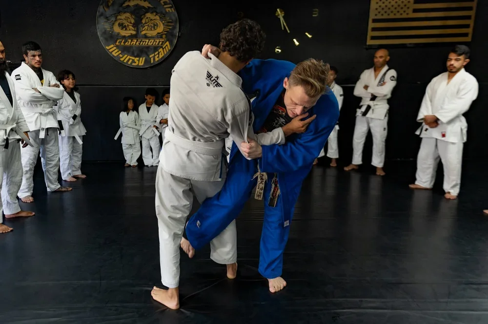UCS - University of Combat Sports academy photo