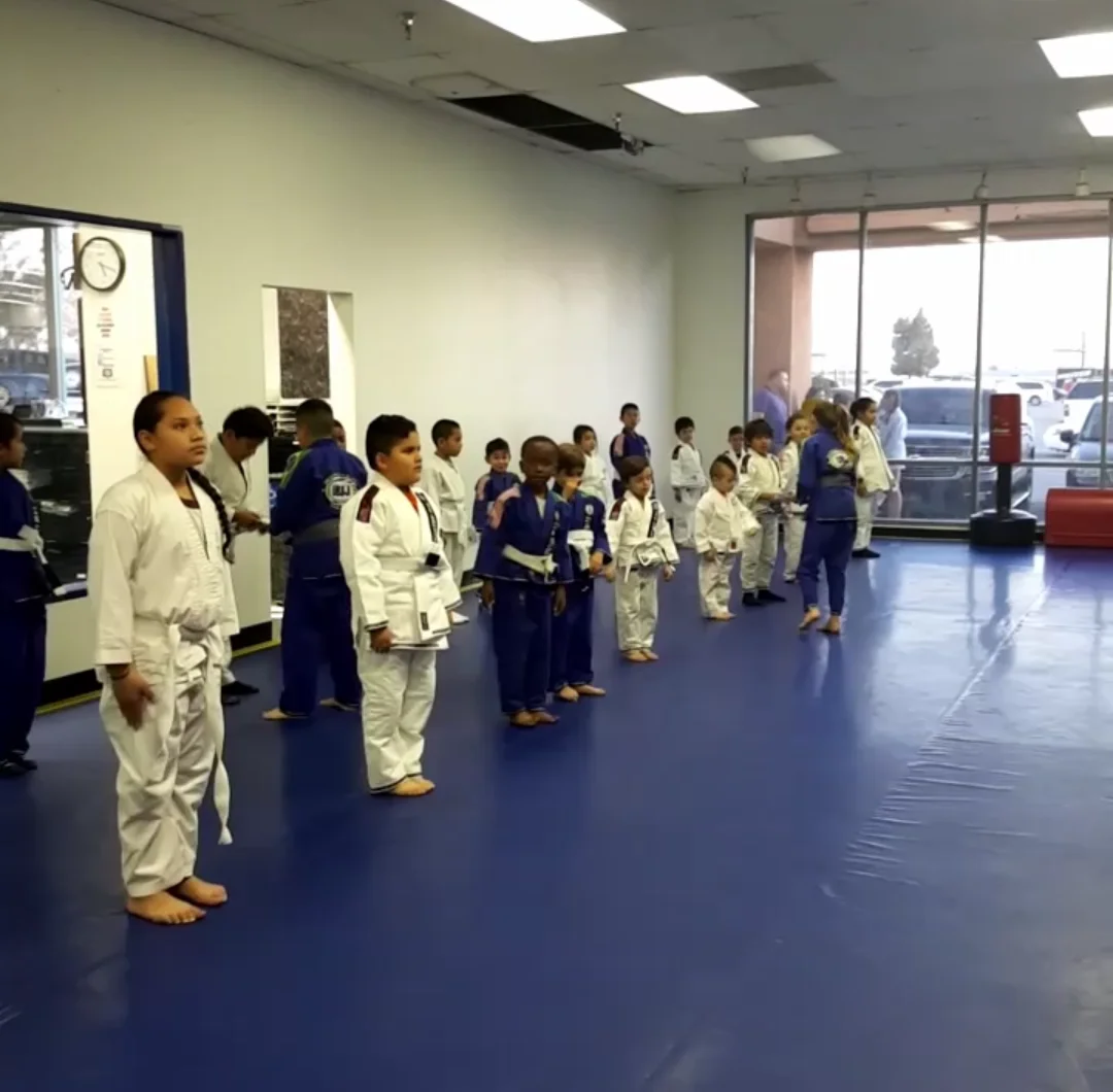 United Brazilian Jiu-Jitsu Mo Val academy logo