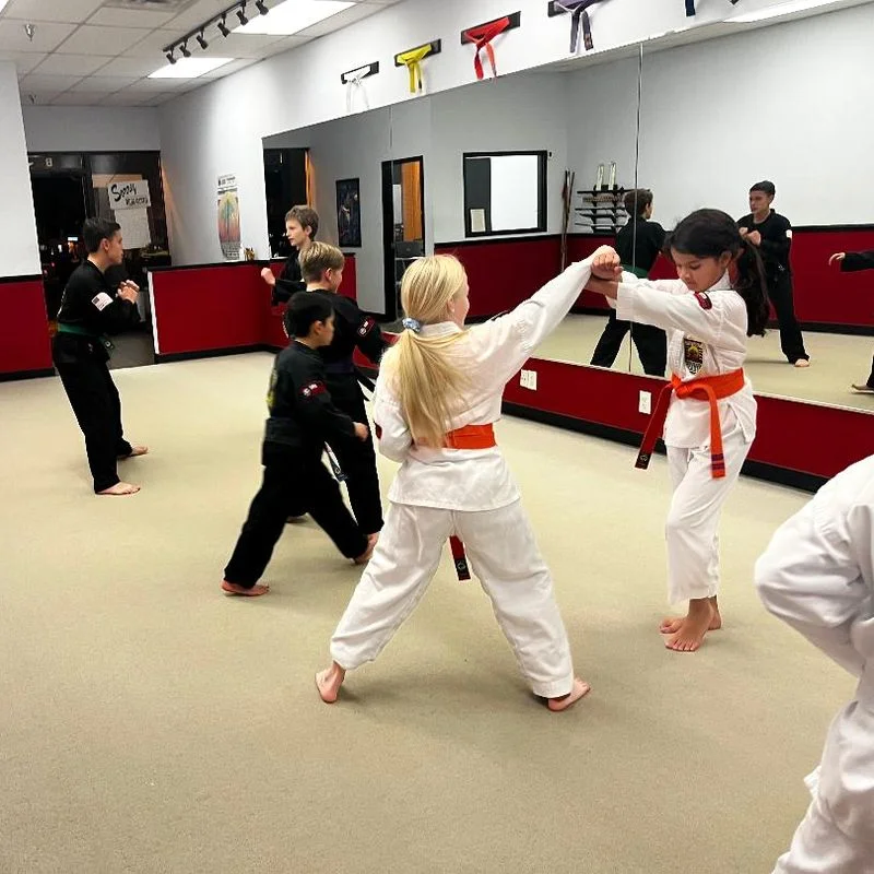 United Studios of Self Defense facility image