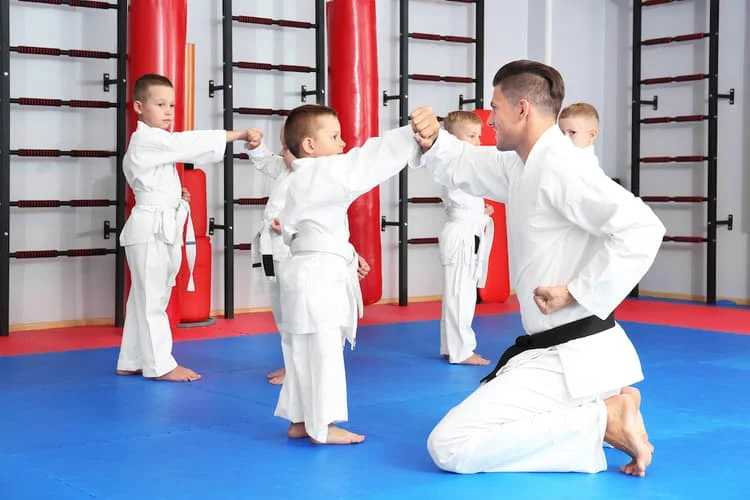 Universal Martial Arts Center (UMAC) - Chino Hills facility image