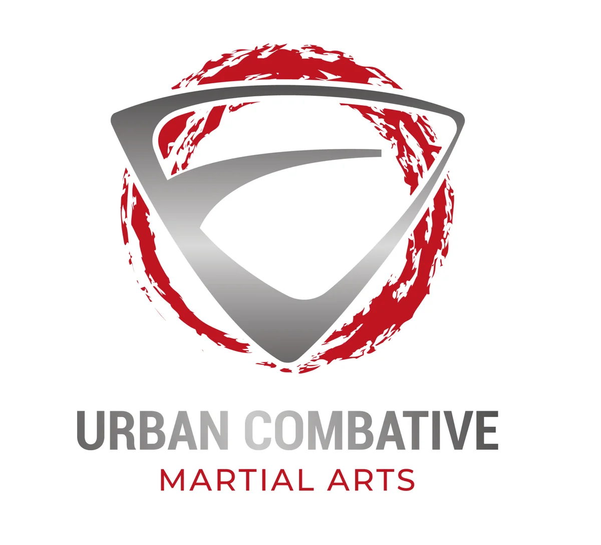 Urban Combative Martial Arts academy photo