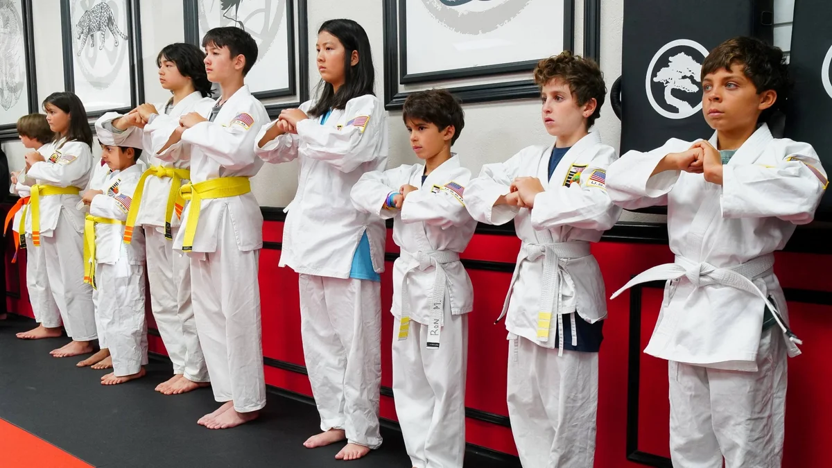USSD Karate Irvine academy photo