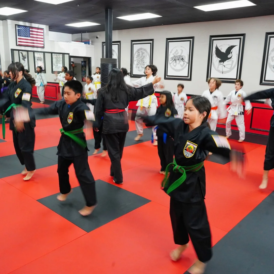 USSD Karate Irvine academy photo