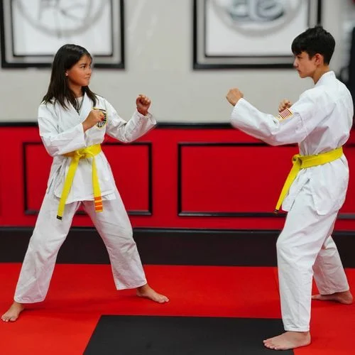 USSD Karate Irvine academy photo