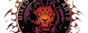 Valhalla MMA academy logo