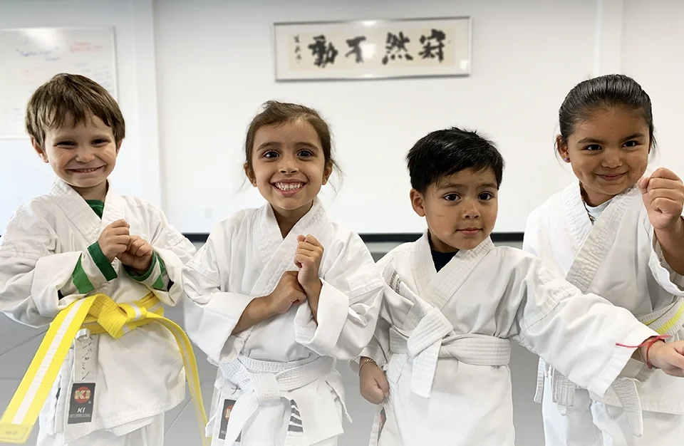 Valley Martial Arts Center academy photo