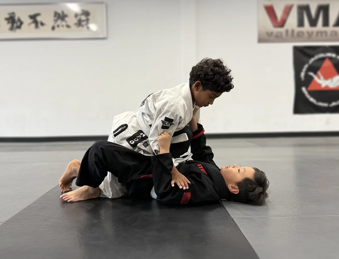 Valley Martial Arts Center academy photo